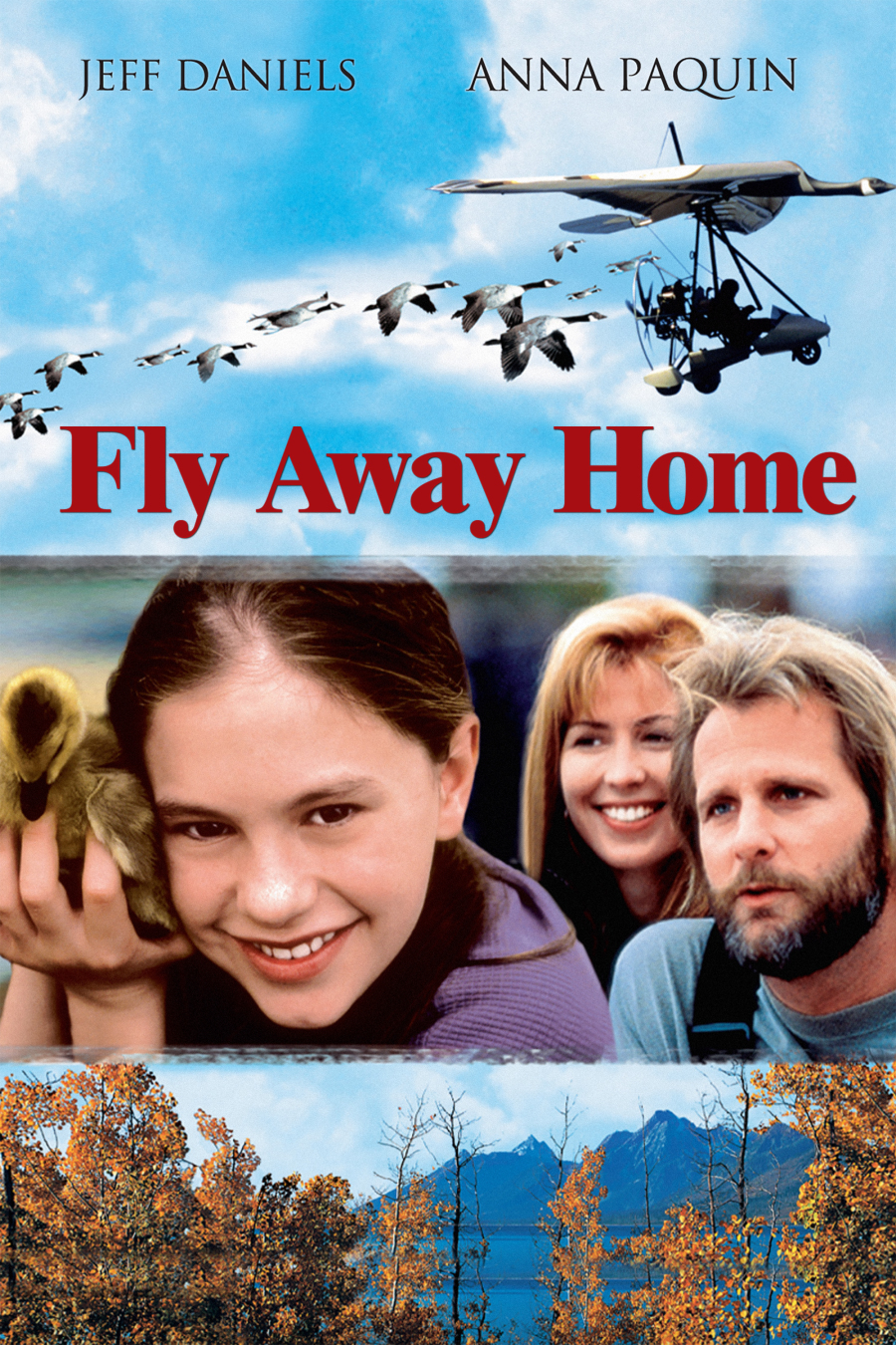 Летите домой. Fly away Home. Fly away Home 1996 Постер. Летите домой 1996 Blu ray. Летим домой.