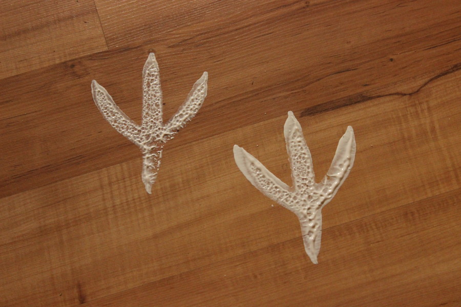 Hoppy Paws Stamp Kit Review - Central Minnesota Mom